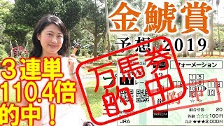 3連単110.4倍的中！【競馬】 金鯱賞 2019 予想（後半はプレゼント企画当選者発表！） ヨーコヨソー