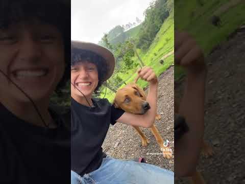 mi amigo de la granja