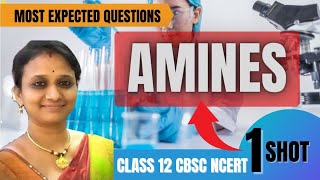  AMINES Most Expected  Questions | NCERT  Topics Chapterwise | Class 12 | CBSE 2021- 22