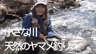 フライフィッシング 湯川 - 軽井沢の渓流 でヤマメ釣り Loop FlyFishing Japan