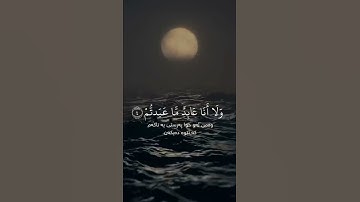 سورة الکافرون 🌏✨