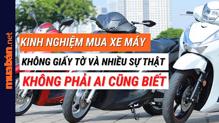 Xe không giấy tờ là gì năm 2024