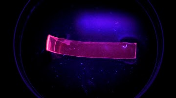 Ion sensing technology