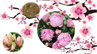 Famous HOW MANY DAYS UNTIL SPRING Profile