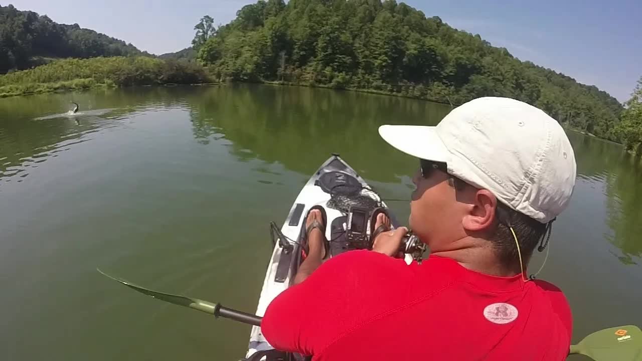 Kayak bass fishing West Virginia 8/30/14 YouTube