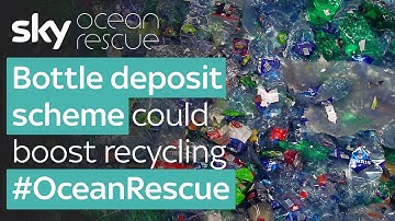 Plastic bottle deposit scheme could boost recycling: Sky Ocean Rescue