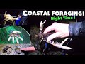 COASTAL FORAGING, Lobster, Abalone, Swimming Crabs ! Night Time Foraging The Sea Shore