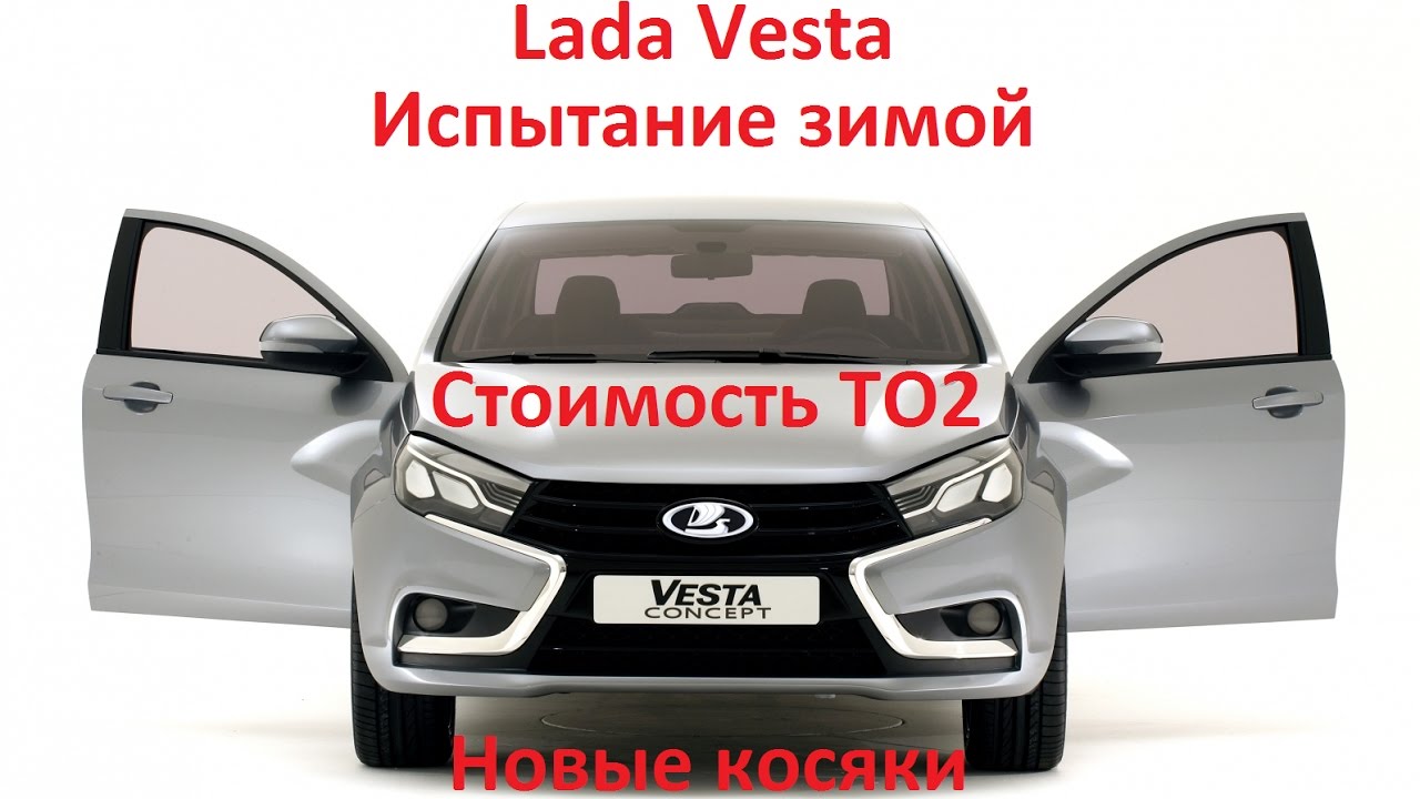 Веста на котина