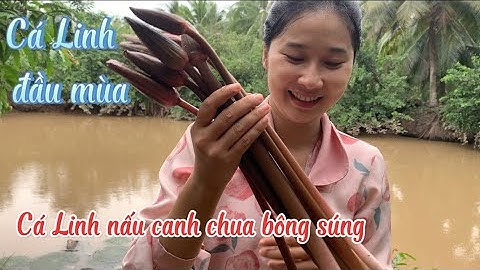 Hái Bông Súng Về Nấu Canh Chua Cá Linh ,Cá Linh Kho Tộ - Em Gái Quê