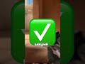 КАК ПОЛУЧИТЬ ГАЛОЧКУ В СТЕНДОФФ? #standoff2