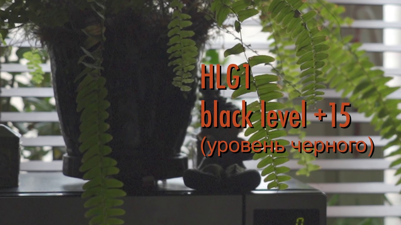 Slog2 Vs Slog3 Vs HLG YouTube