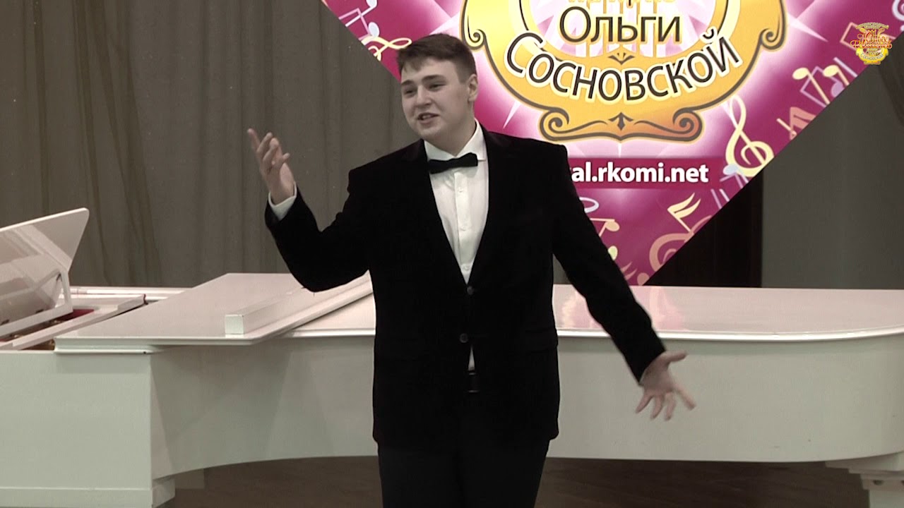 Зевин Александр, 17 лет, г Новосибирск, ГАПОУ НСО «Новосибирский ...