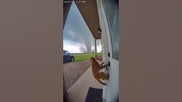 Monkey Swept Away By Tornado!