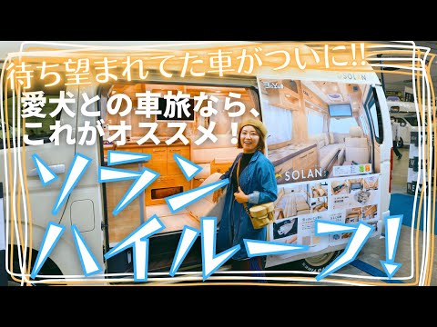 【横浜キャンピングカーショー2023】ついに出た、レクビィ ソランハイルーフ！愛犬との車旅なら、これがオススメです！【犬とハイエースキャンピングカー】