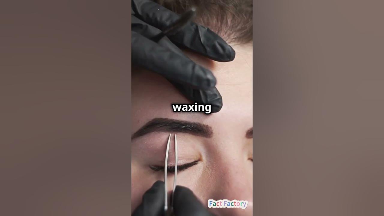 do-eyebrows-grow-back-after-shaving-myth-busted-youtube