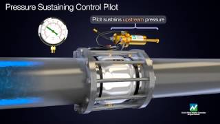 Revolutionize Your Agricultural Irrigation System With The Nelson 800 Series Control Valves!