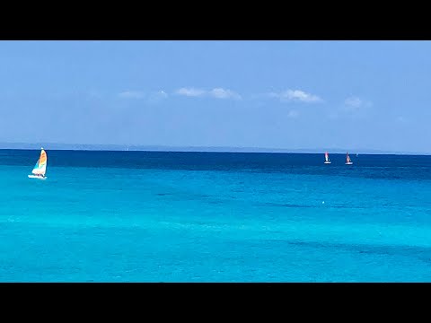 Vídeo: Guanya "Paradís al costat del mar!"