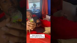 Attention New Reptile Owners Try This