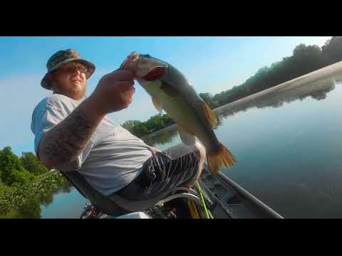 Bass Fishing For a Spider Bite