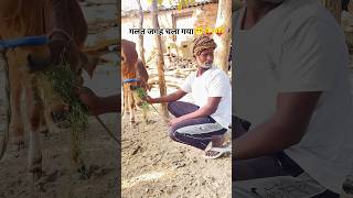 ये कहा चला गया 😁 @mr_nadim009 #viral#comedy#comedyvideos #youtubeshorts #funny#shorts#youtubeshorts