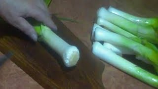 Лук порей Лук порей