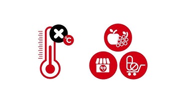 Rotronic Temperature Mapping