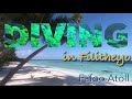Filitheyo fafoo atoll