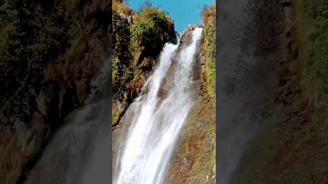 Nature’s therapy in motion 