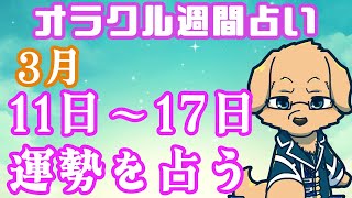 【週間占い】11日～17日の運勢を占います！/ オラクルカード第39回【ケモノVtuber/星戌セン/ #オラクルカード #占い】