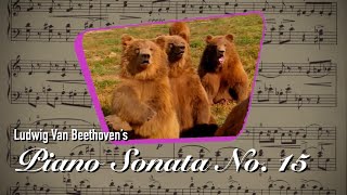 邦楽 BURNOUTSYNDROMES LOSTTIME/i am Beethoven BURNOUT SYNDROMES ~i am Beethoven~ - YouTube