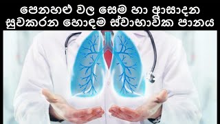 පෙනහළු වල සියලු රෝගාබාද සඳහා ඉතා ප්‍රතිඵලදායක ස්වාභාවික ඖෂධය | Best Herb for Lungs | Sonduru Diviya