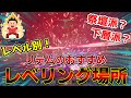 【PSO2NGS】レベル別!リテムのおすすめレベリング場所!【レベル上げ】