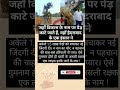 Hariyali ki pukar #hydrabaad #tree