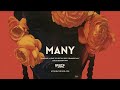 Amapiano x Afrobeat Type Beat | Afrobeat | "Many" 2024