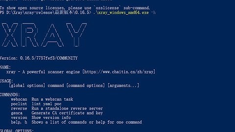 How To Find Vulnerability In Wenbsite Using XRAY SCANNER TOOL  | 2022