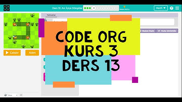 Code Org Kurs 3 Ders 13 Cevapları Arı İç içe Döngüler - Code.org Ders 13 Arı İç İçe Döngüler