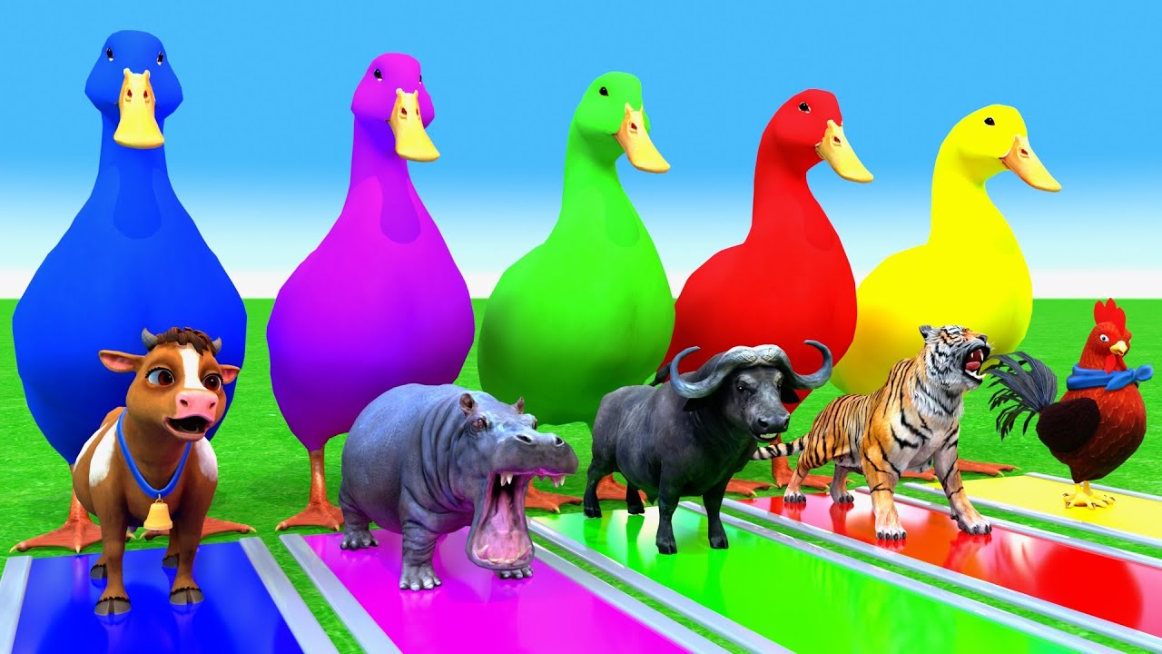 Long Slide Game With Elephant Gorilla Buffalo Hippopotamus Tiger 3d Animal Game Funny 3d Animals