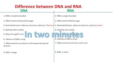 DNA vs RNA | Difference between DNA and RNA |