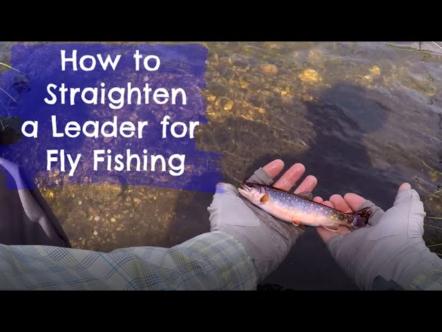 How to Straighten a Fly Fishing Leader 