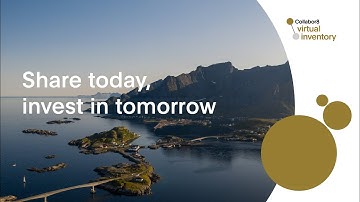 Introduction to the Virtual Inventory