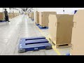 Autonomous Pallet Robots