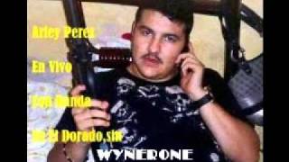 Arley Perez-El Corrido de Victor Iriarte