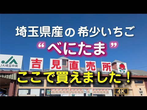 希少いちご【べにたま】は埼玉県生まれ。果肉が白くて糖度が高く、さわやかな酸味もあり口いっぱいに芳醇な香りが広がります！