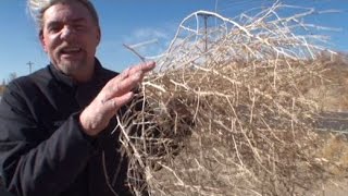 Tumbleweed Tornado-The Big Tumbleweed ROUNDUP!
