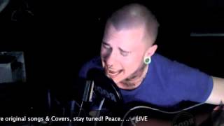 Video thumbnail of "Linus Svenning - Scars (Papa Roach Acoustic Cover) - LIVE"
