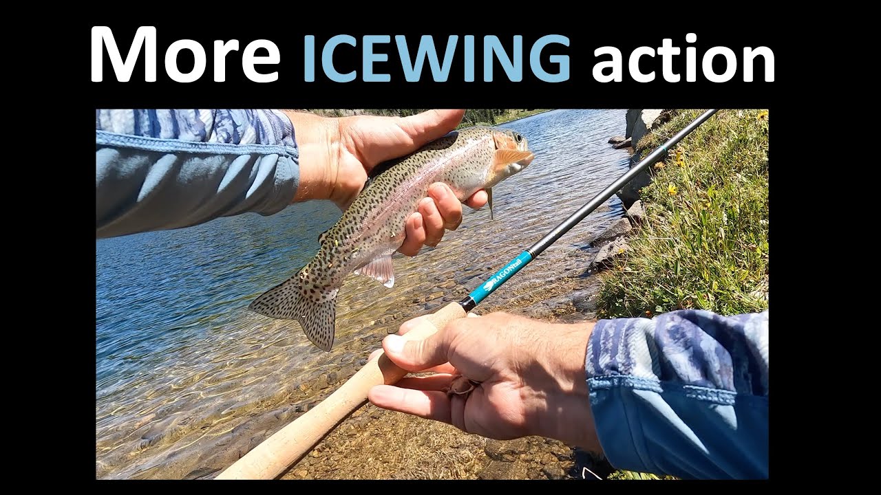 IceWING zx390 Zoom Tenkara Rod — DRAGONtail Tenkara