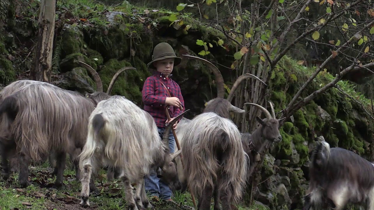 Mountain agriculture the guardian of biodiversity