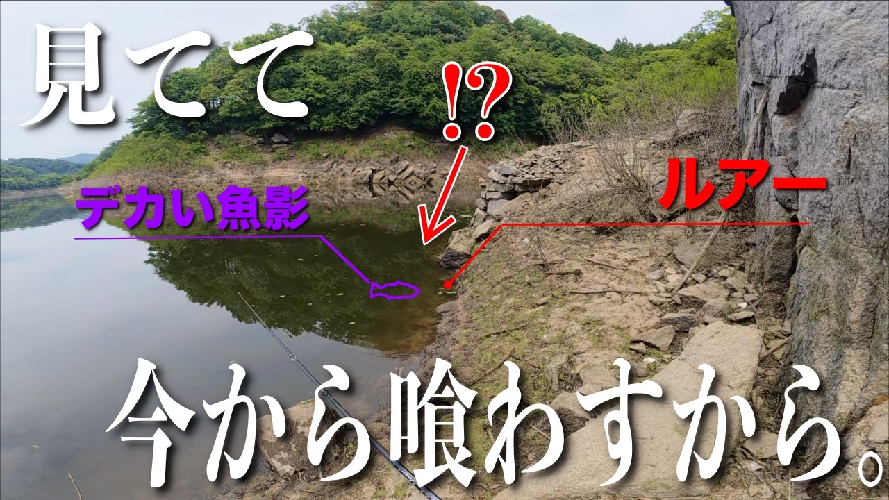 突然目の前にデッカイ魚現れた!その後、、、え!?