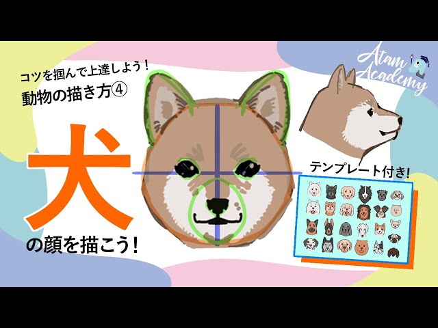 ワンちゃんの見本です。 飾りつける