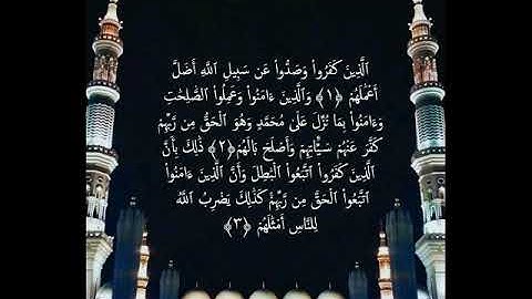 سورة محمد  .. بصوت المؤذن عبدالمجيد السريحي